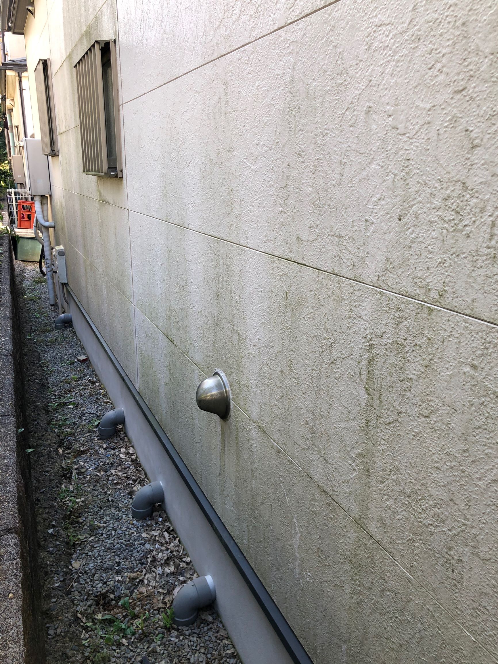 北側　外壁　コケの付着