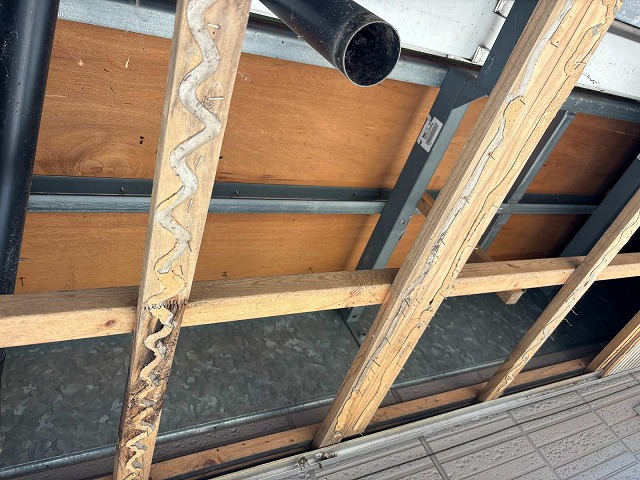 下地材を剥がした軒天