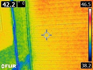 サーモグラフィの様子