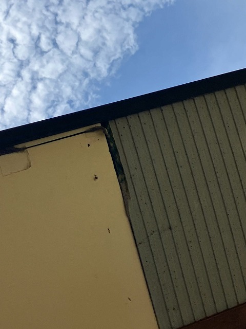 剥がれた軒天の境目部分