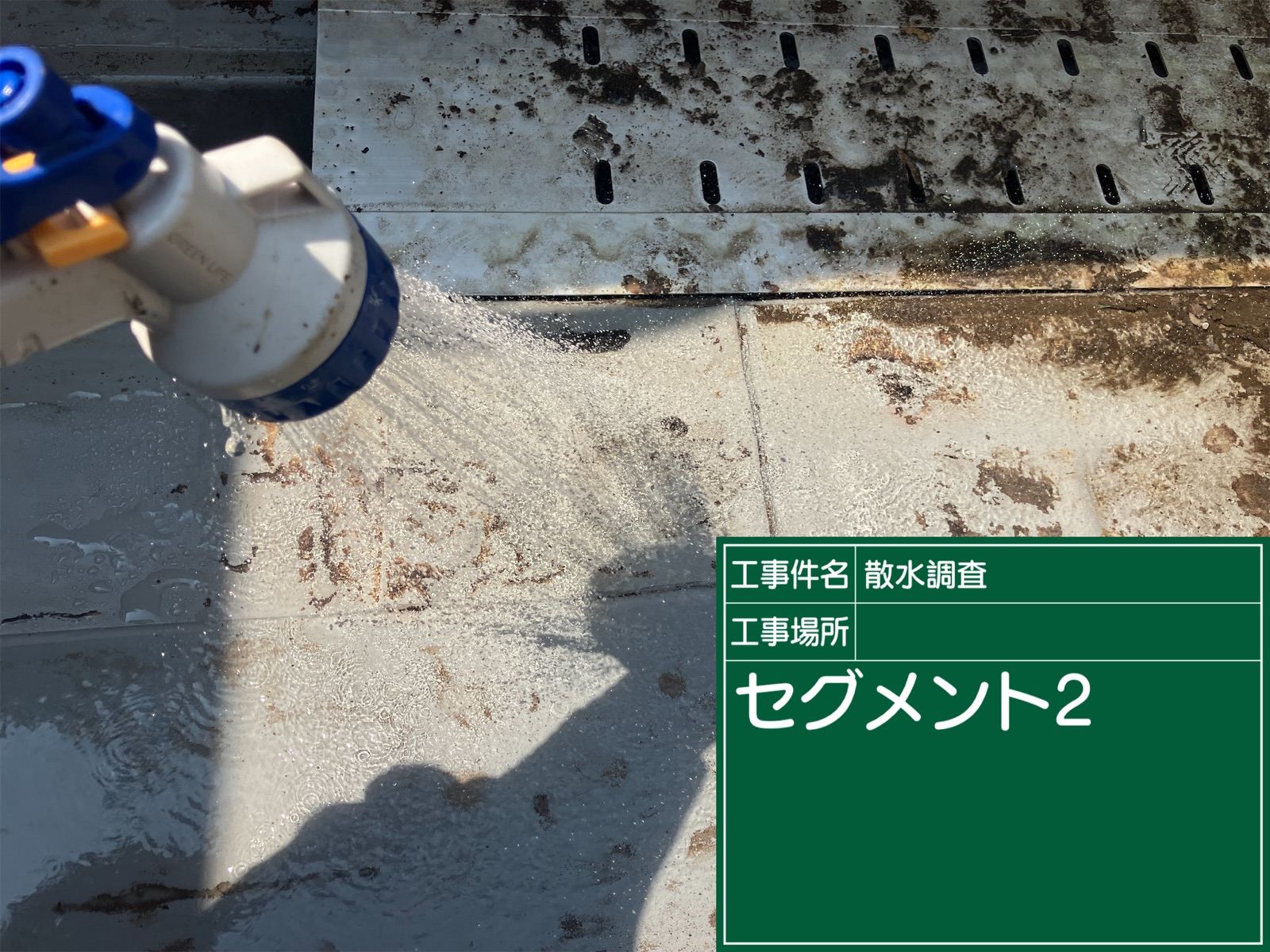 シート防水の散水調査