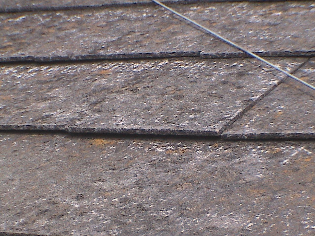 カビやコケの繁殖　スレート屋根