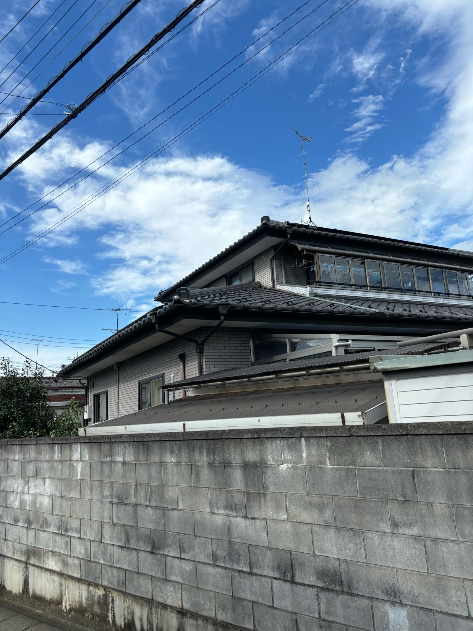 現地調査　無料点検