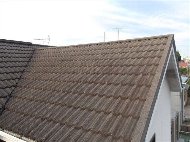 ディプロマット