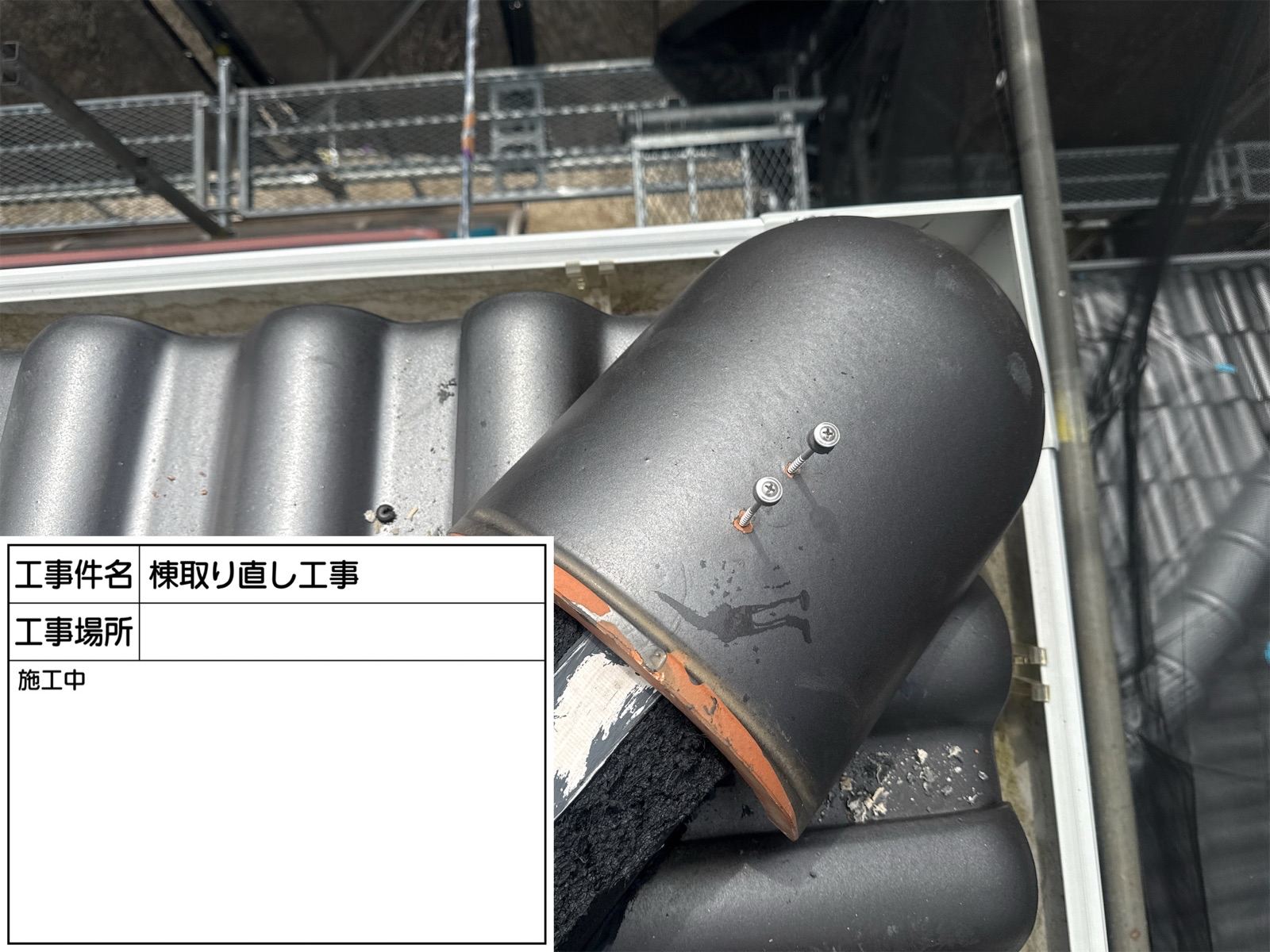 ステンレスビス固定