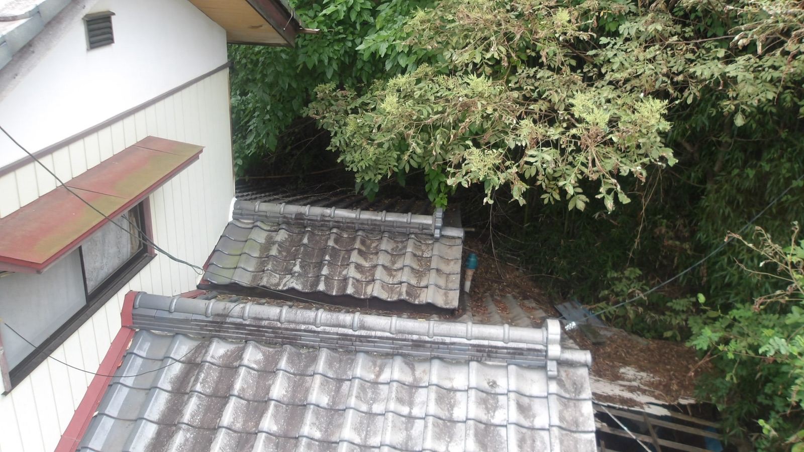 高所カメラ撮影