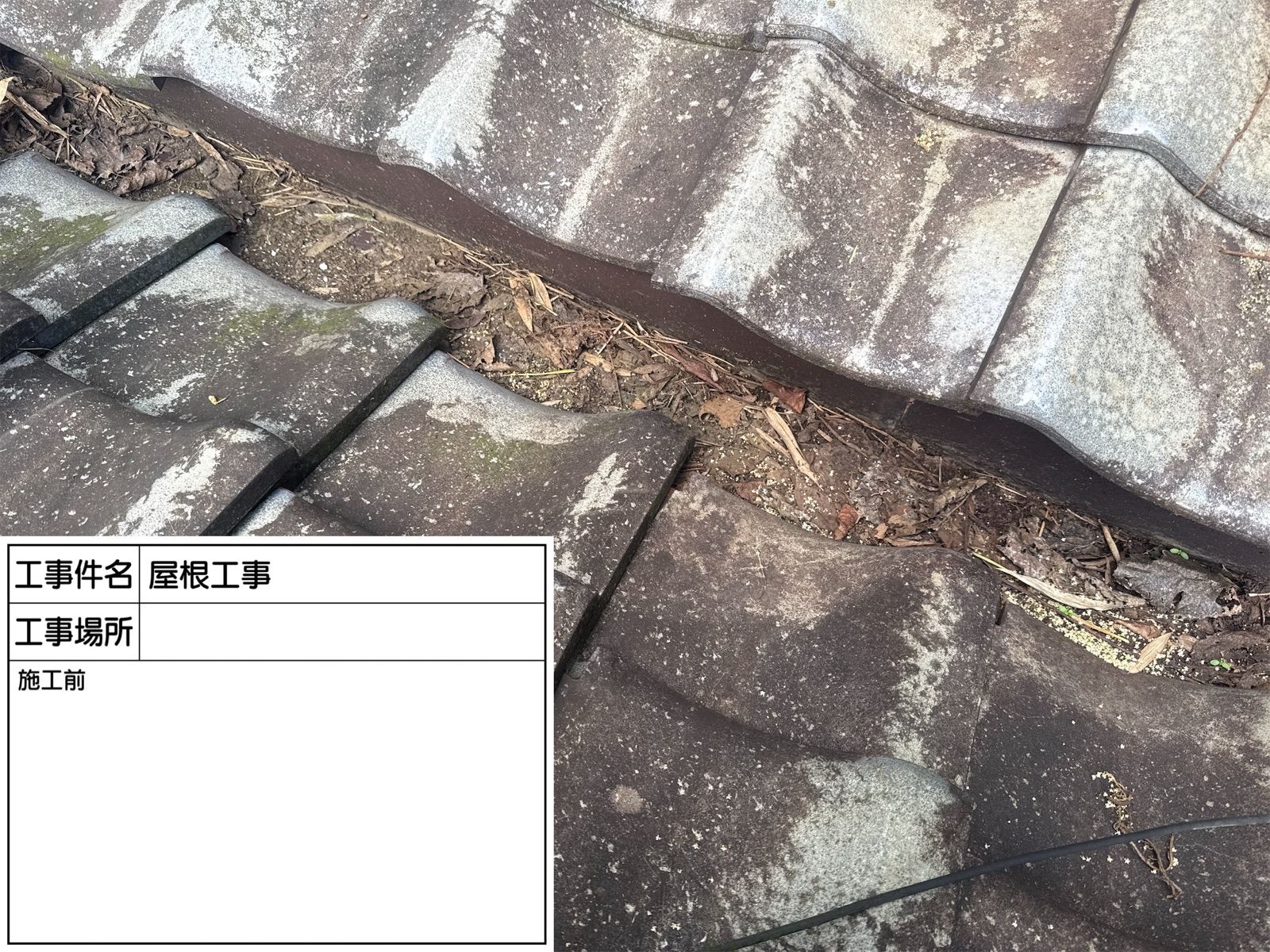 谷に詰まった落ち葉