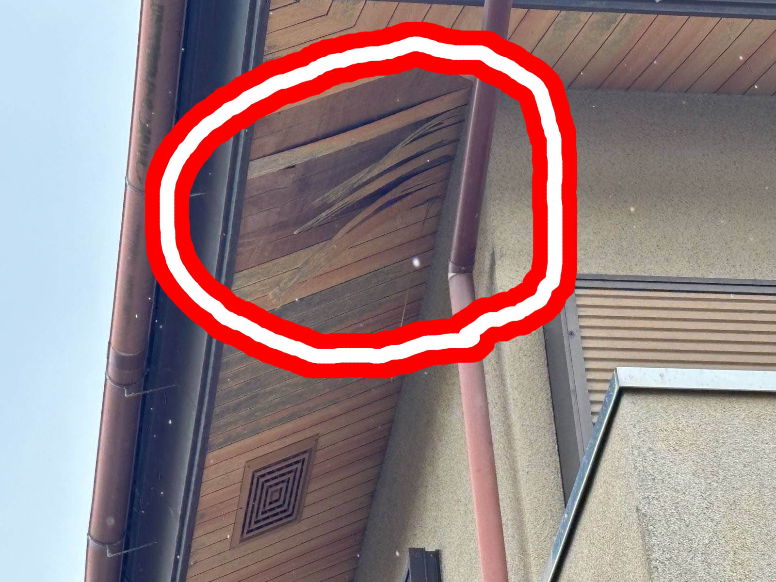 石岡市で軒天剥がれ、ボロボロ、雨漏りか心配