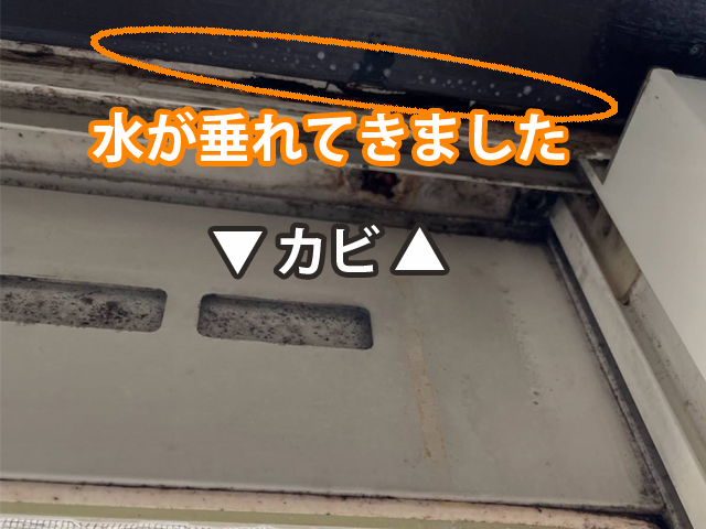 石岡市アパート散水調査、室内で水が垂れてくる