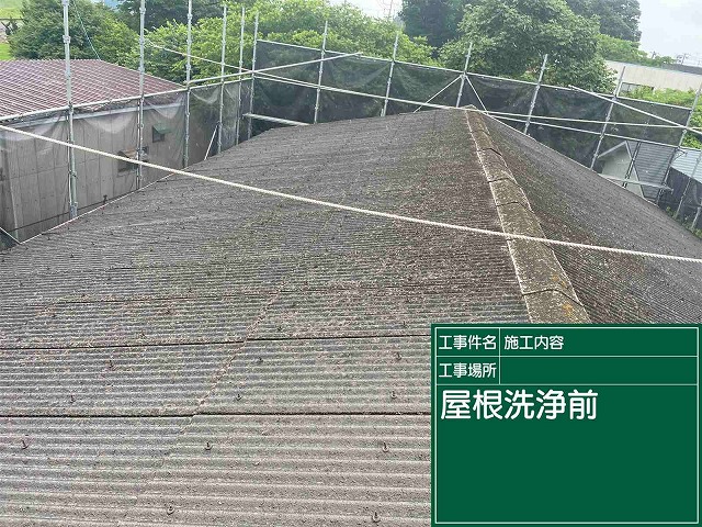 屋根洗浄前
