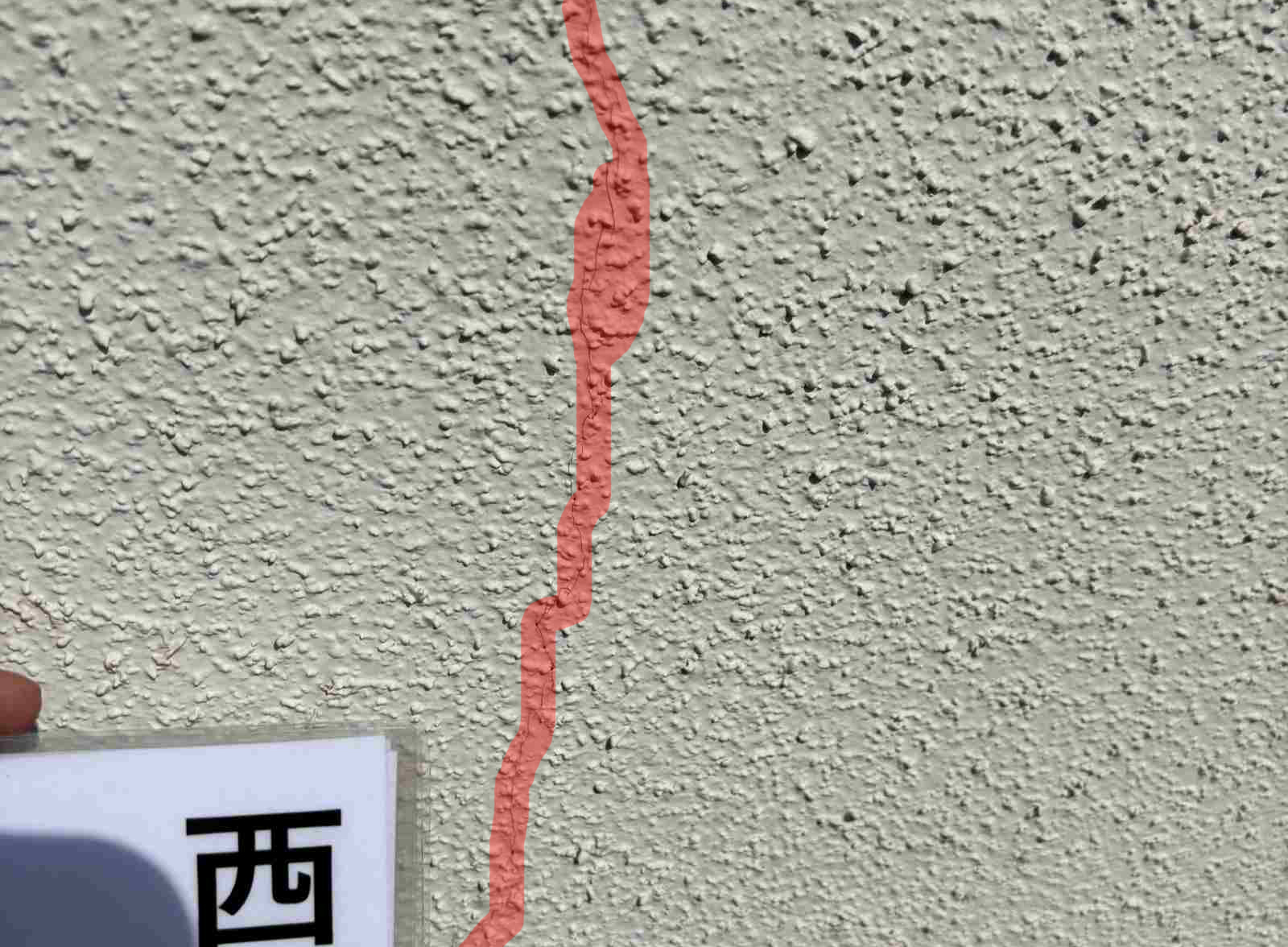 かすみがうら市でモルタル外壁のクラックとひび割れと苔汚れ