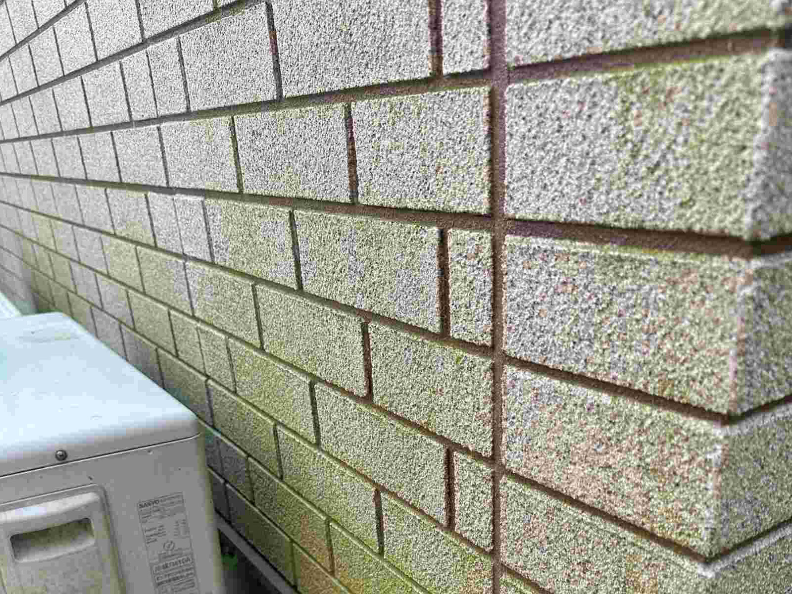 石岡市スウェーデンハウスの家外壁クリア塗装の3年後の定期点検苔