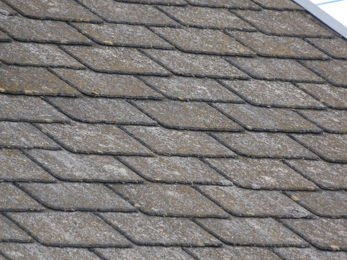 現場調査：スレート瓦