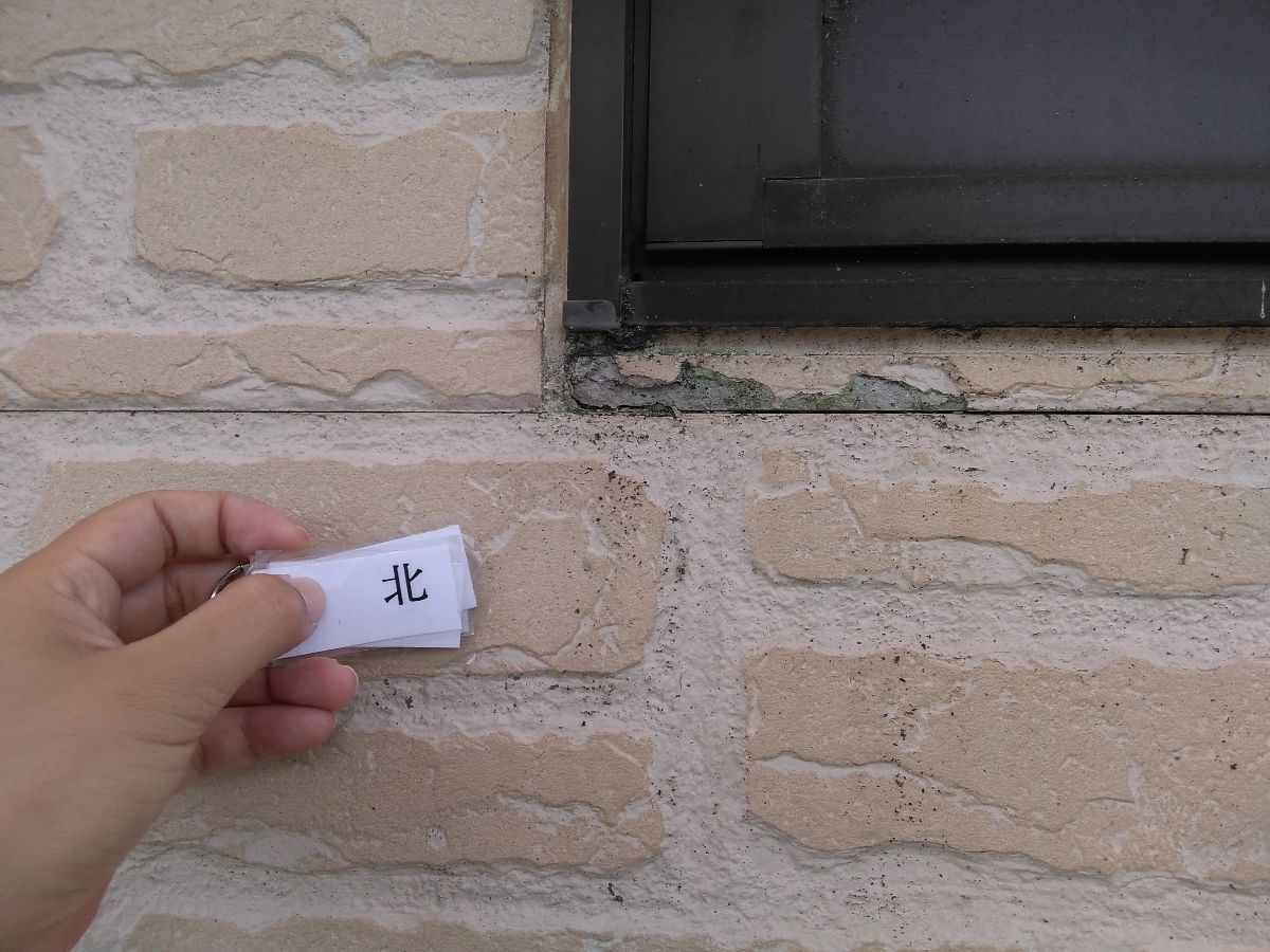 かすみがうら市：現場調査