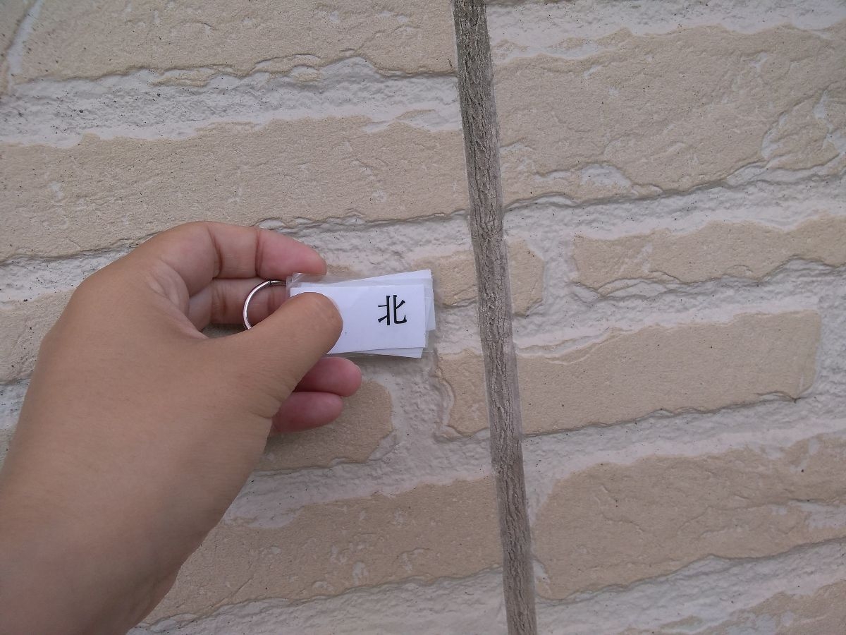 かすみがうら市：現場調査