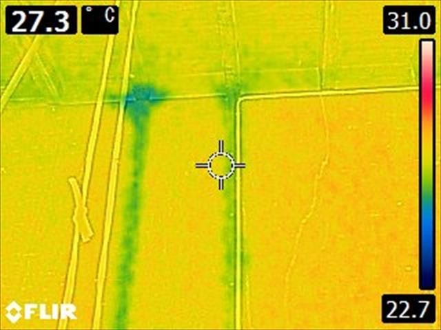 サーモカメラで青みがかっているところは雨漏り