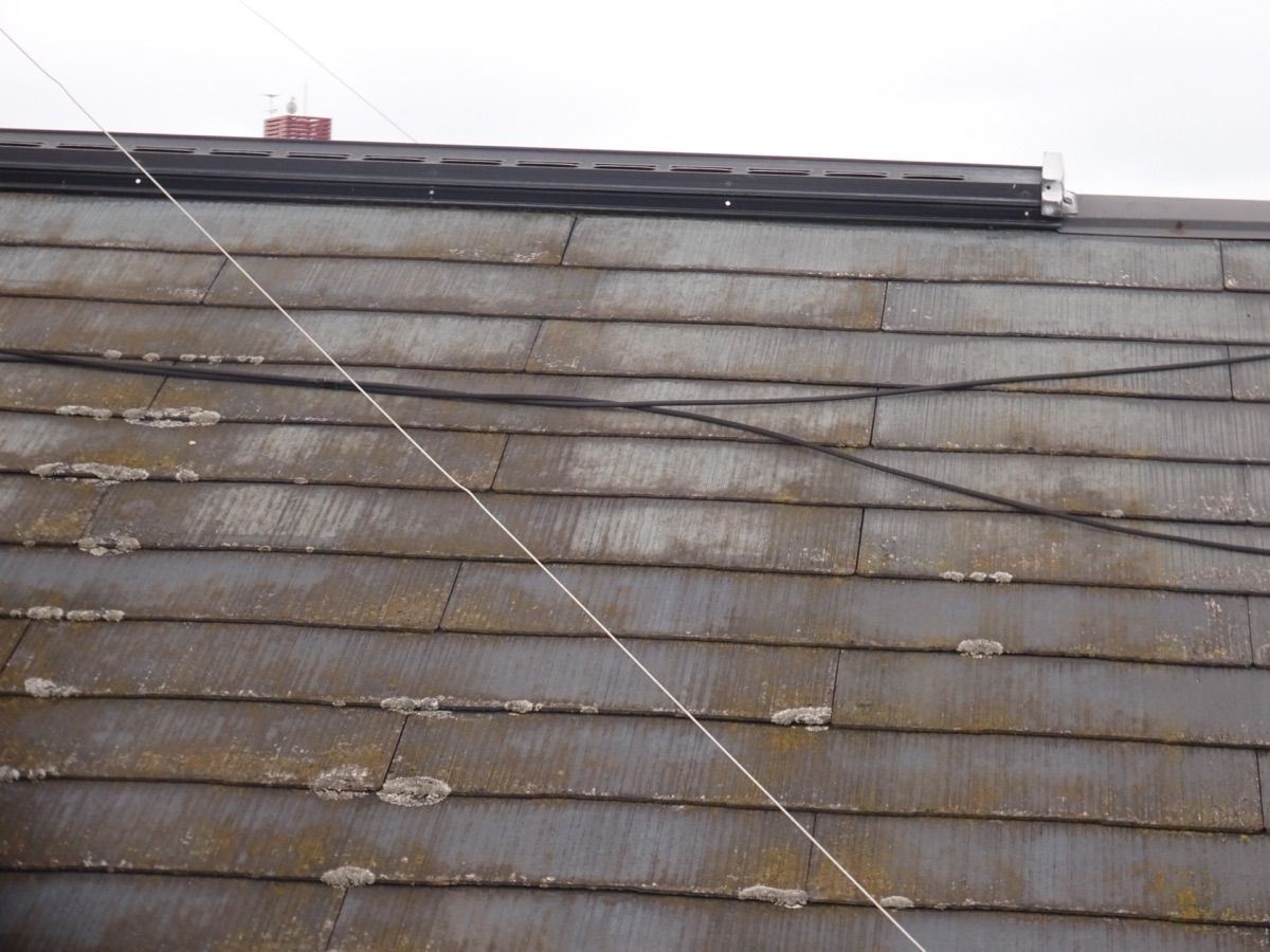 屋根コケ　カビ