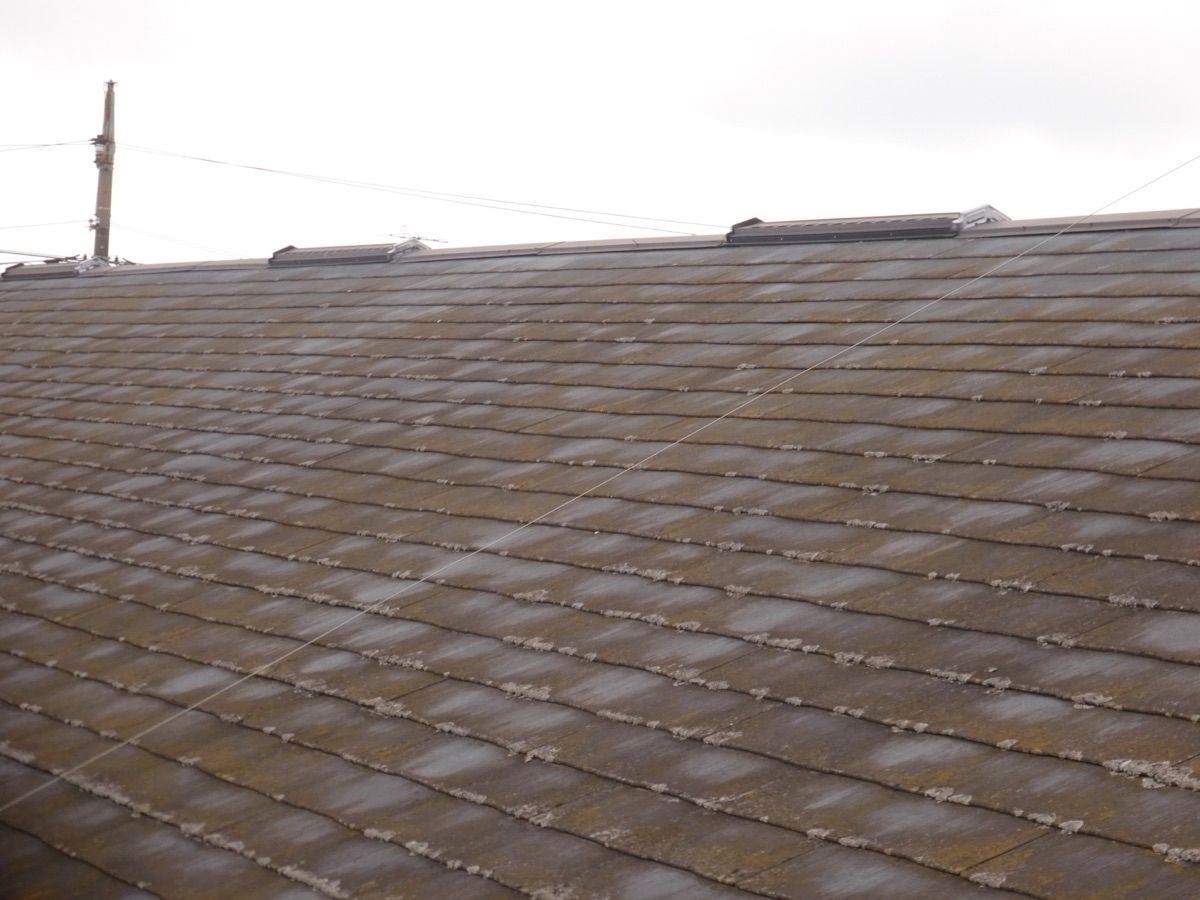 コロニアル屋根汚れ