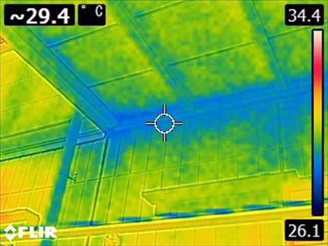 赤外線カメラ　現地調査　雨漏り確認