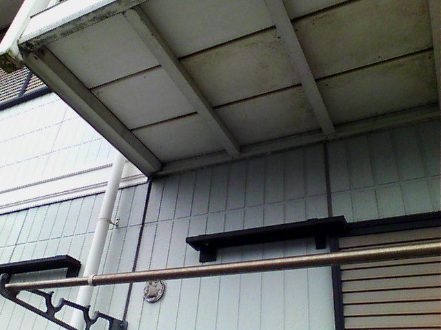 赤外線カメラ調査