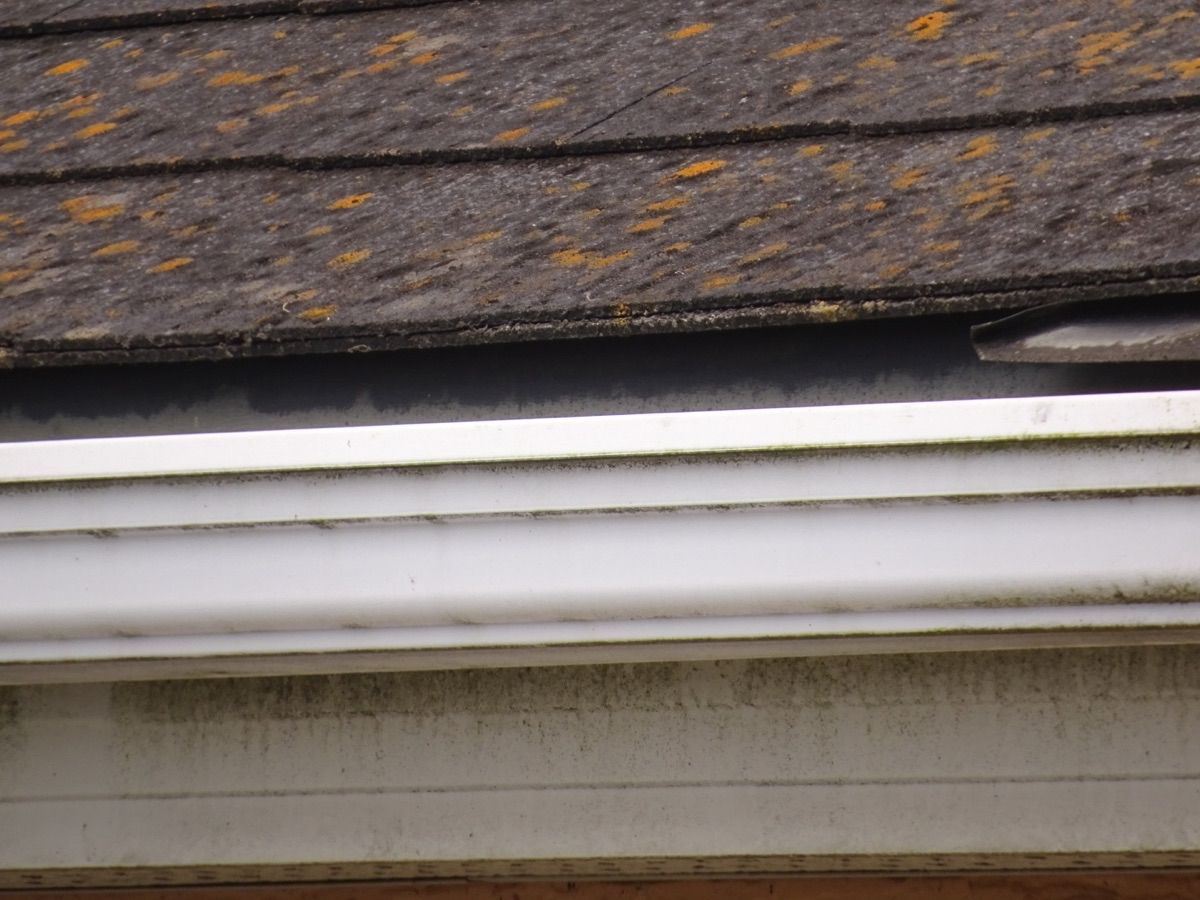 施工前の屋根と雨樋