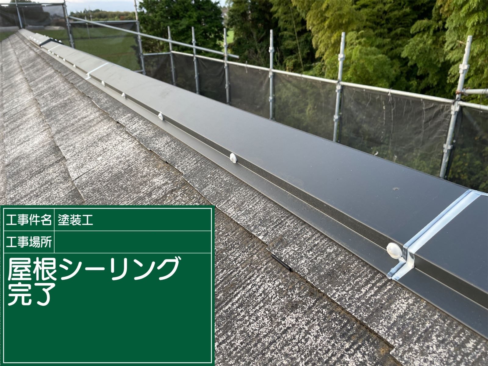 シーリング完了