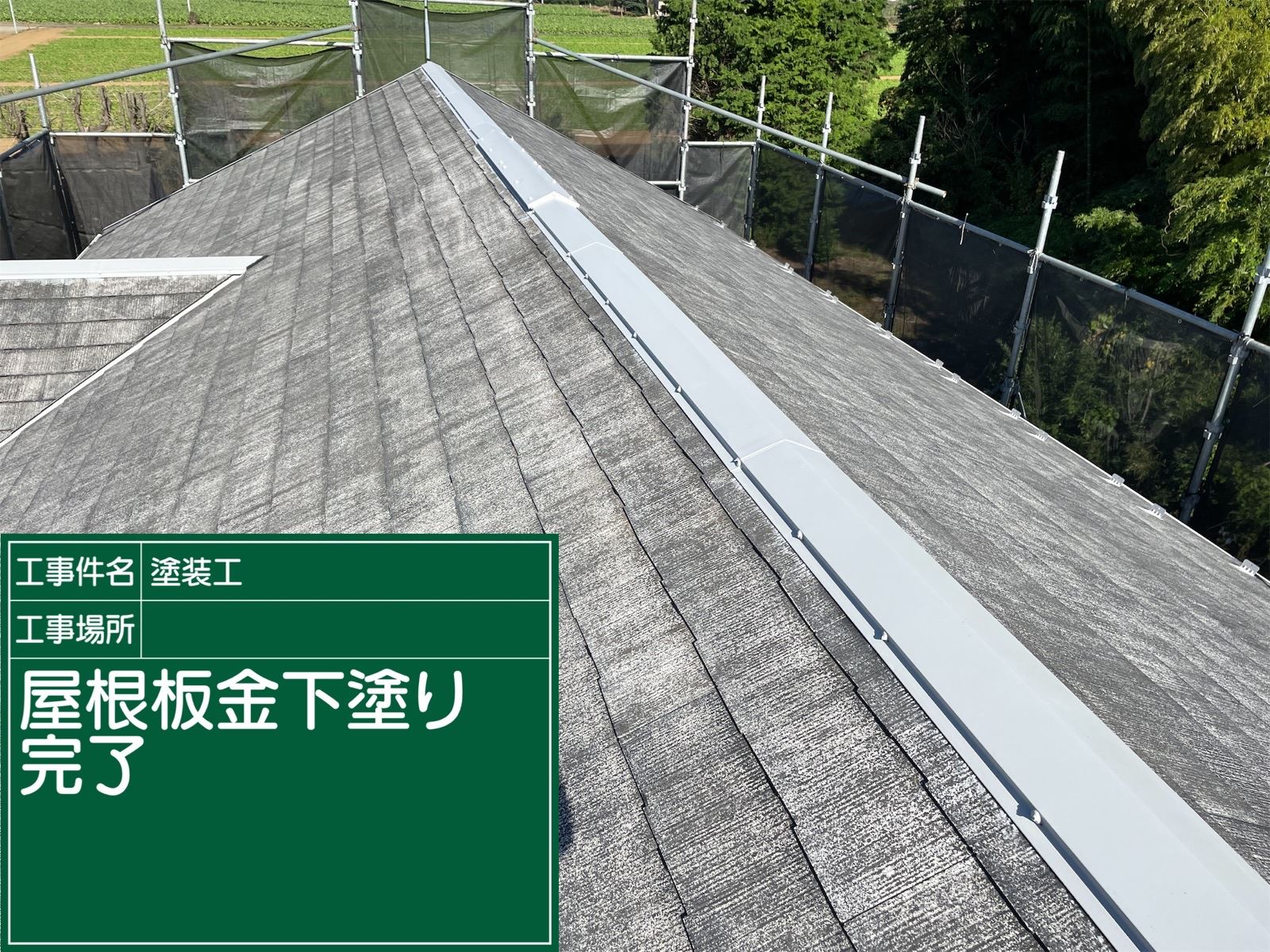棟板金下塗り完了