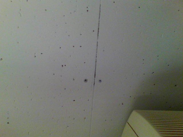 室内雨漏り確認