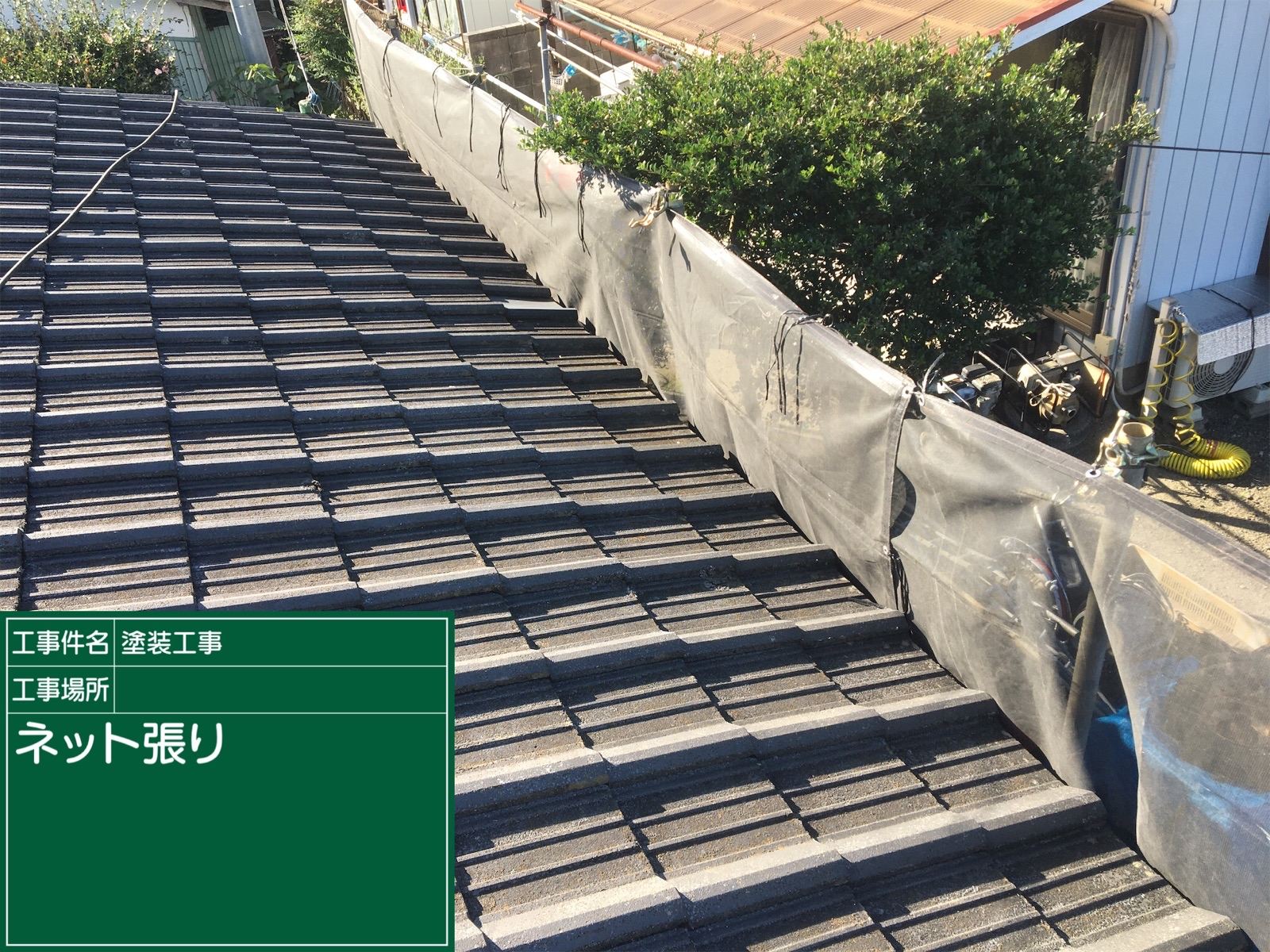 ネット張り