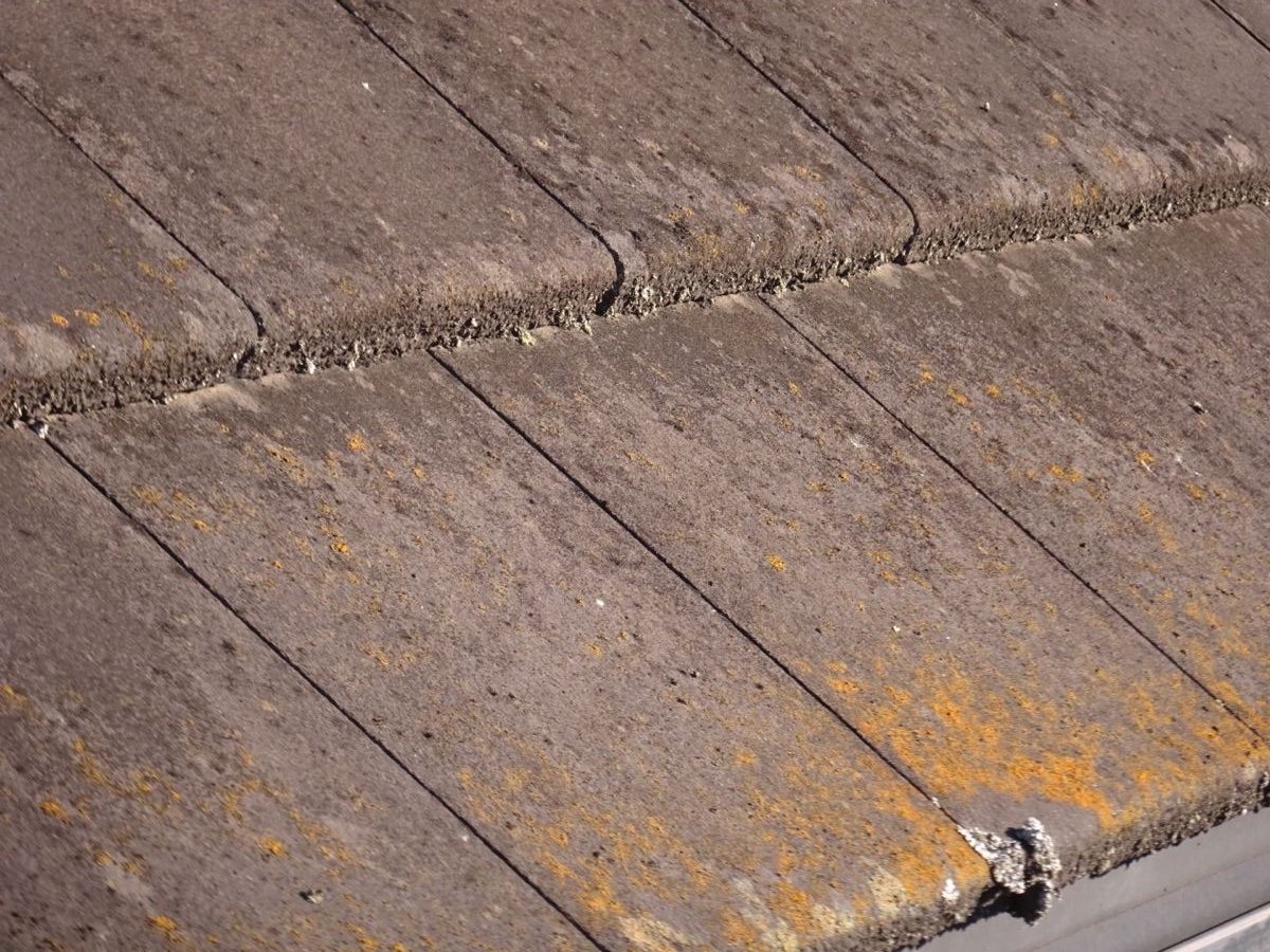 モニエル瓦劣化