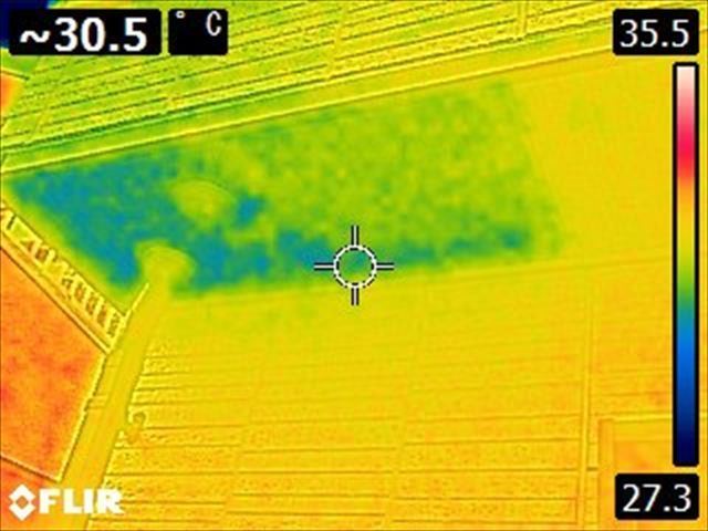 サーモグラフィの様子