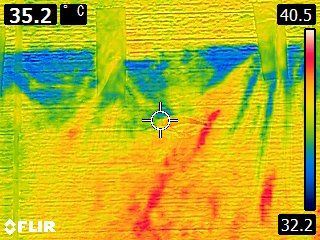 サーモグラフの様子