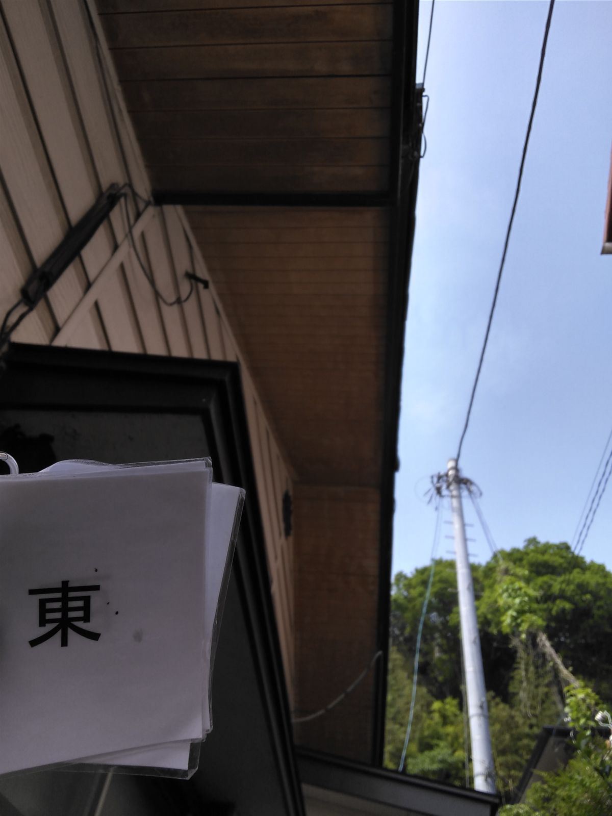 現地調査の様子