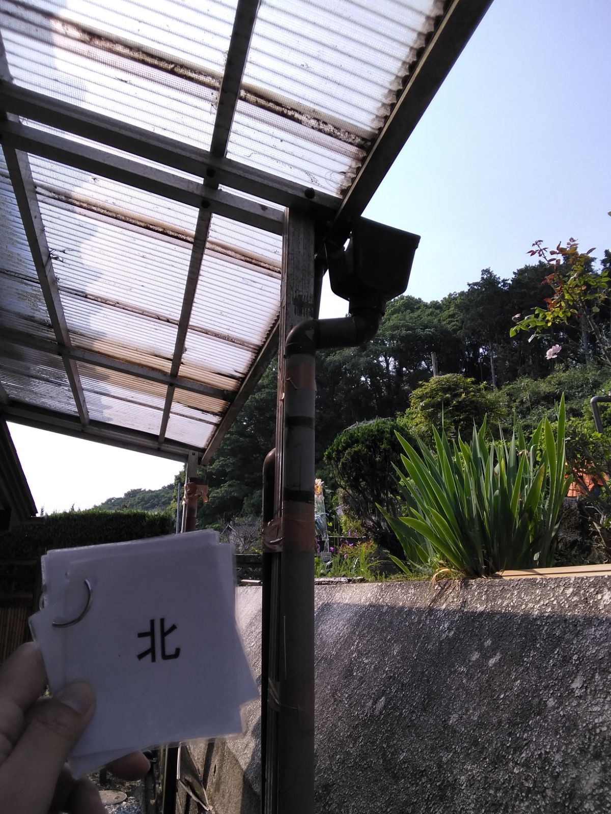 現地調査の様子