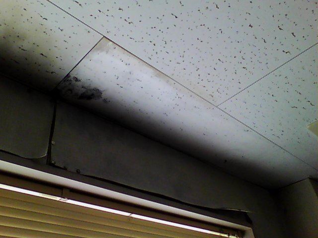 雨漏り　壁紙剥がれ