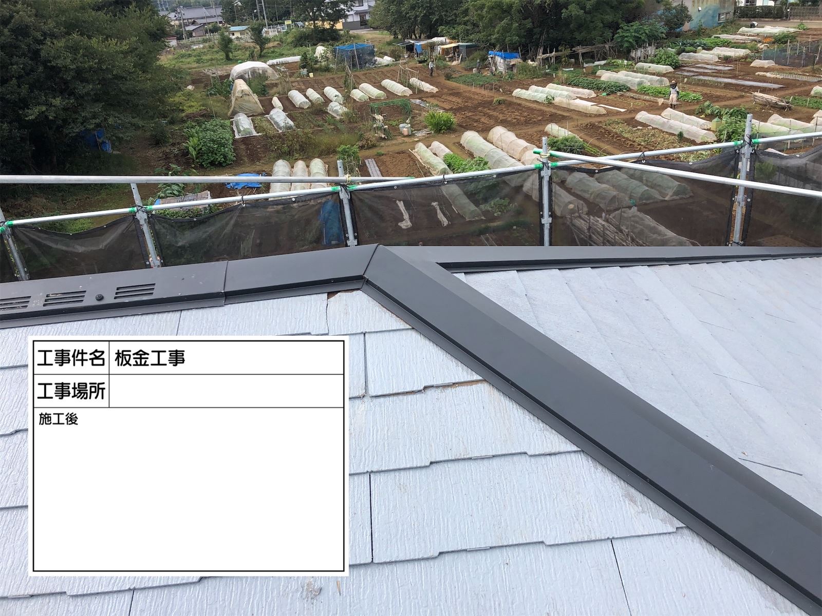 棟板金交換後