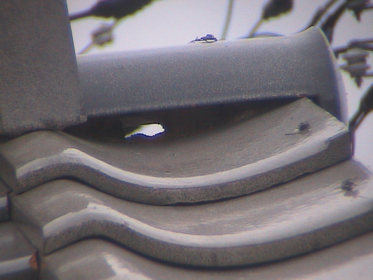 屋根漆喰施工前