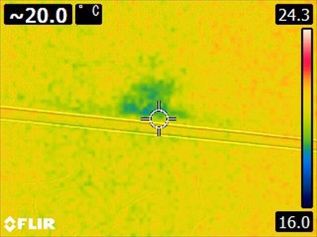 和室天井雨漏り