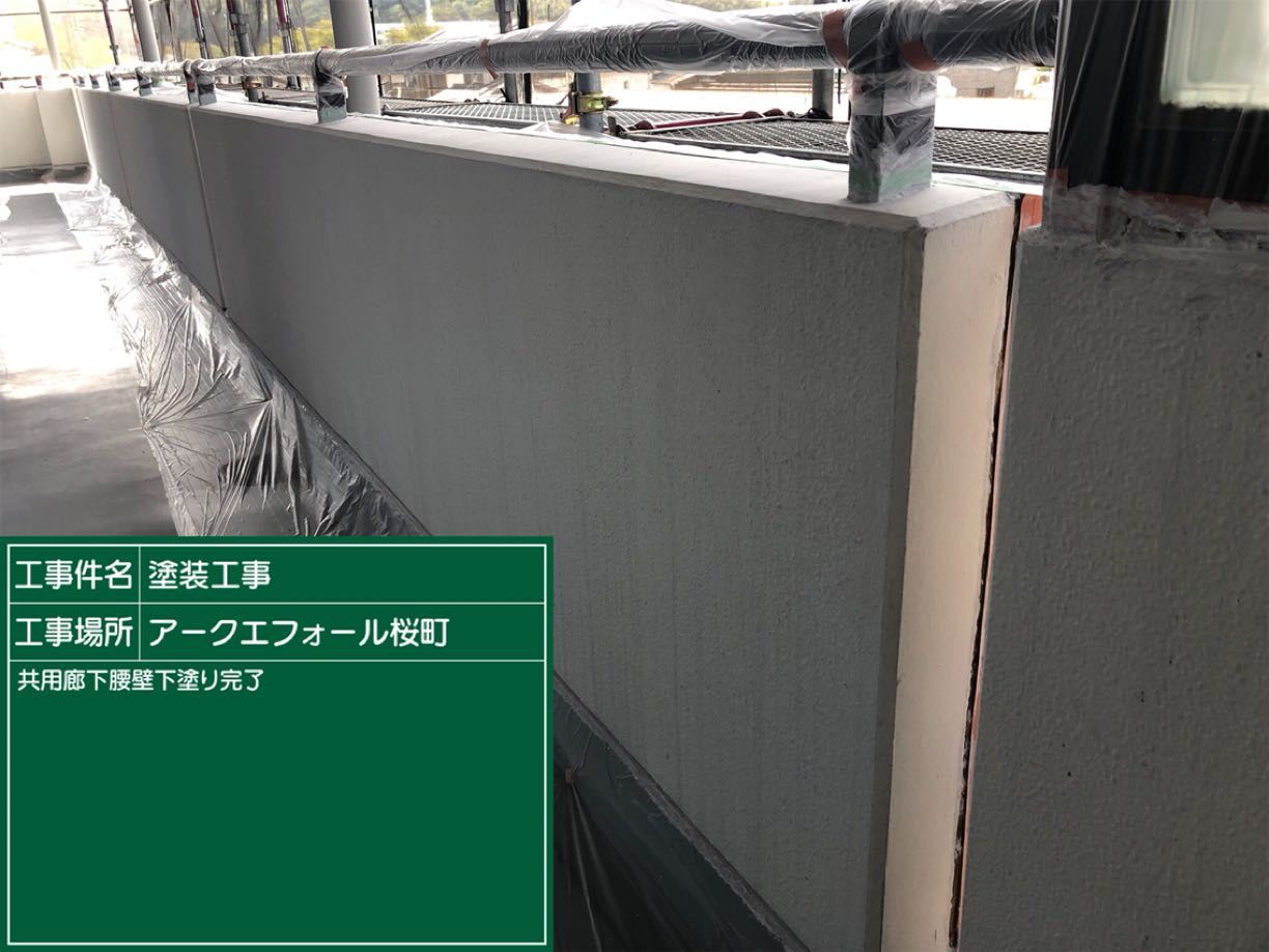 共用廊下腰壁塗装