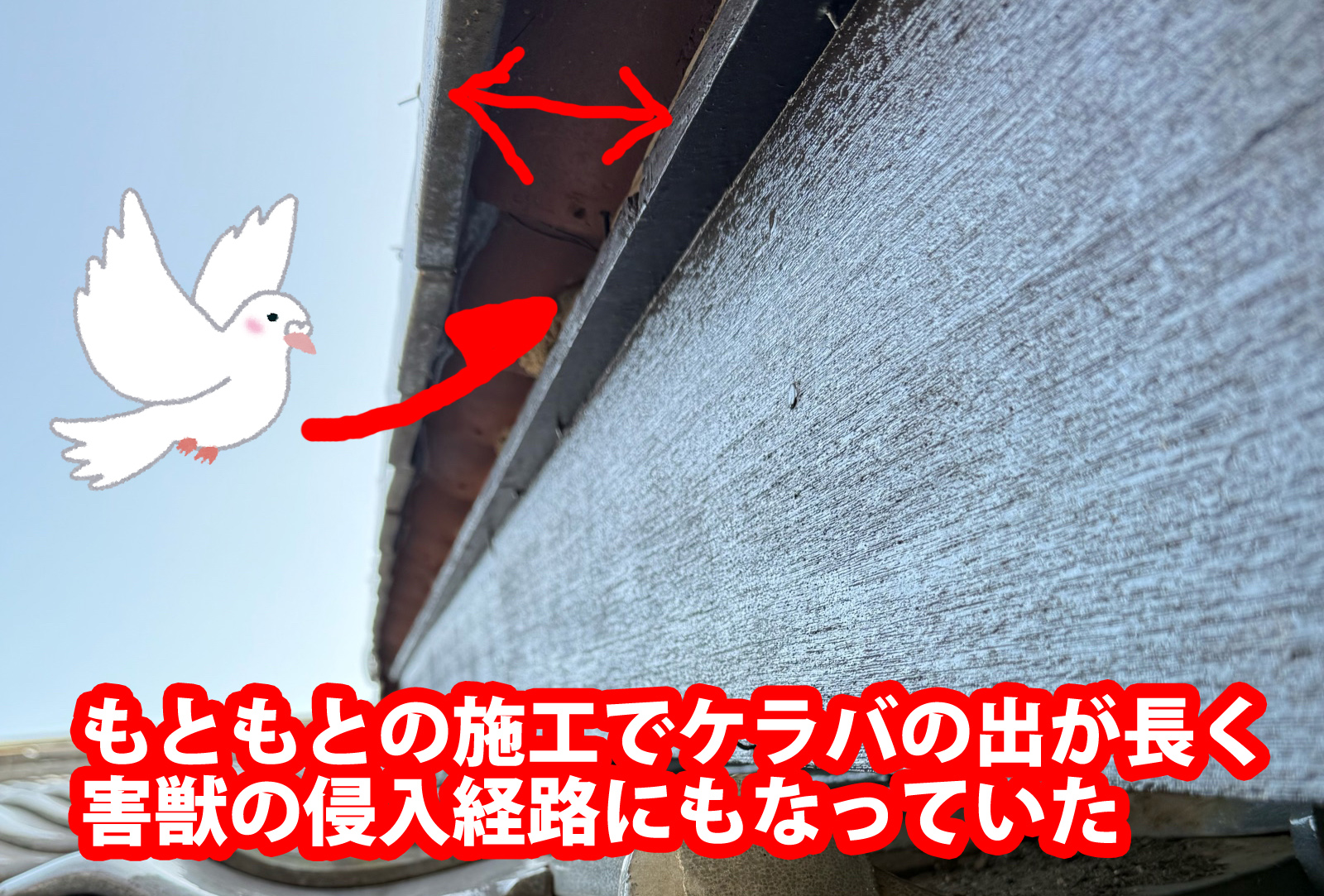 土浦市で瓦屋根から瓦屋根へ葺き替えをおこなったお客様の現場、なぜ瓦を新しくしたのか。ケラバの出が長く害獣が侵入していた