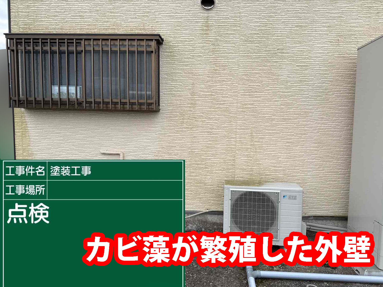 土浦市で苔カビ取り外壁をきれいに