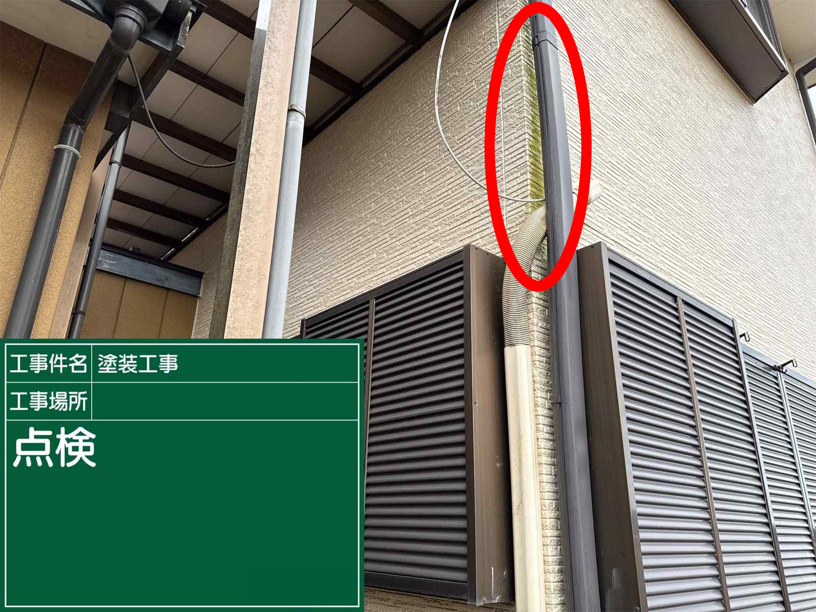 土浦市で外壁の苔カビ取り