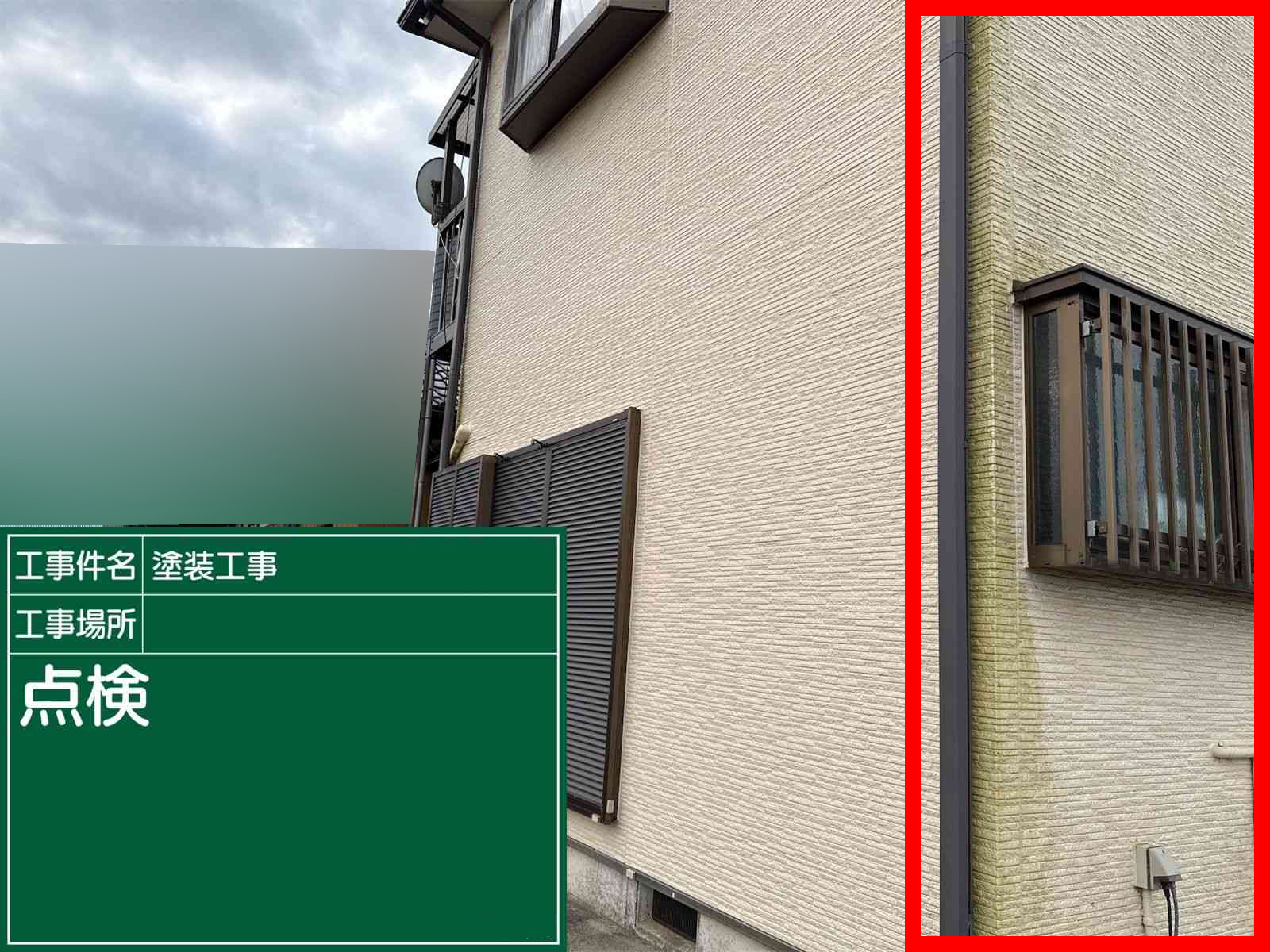 土浦市で外壁の苔カビ取り