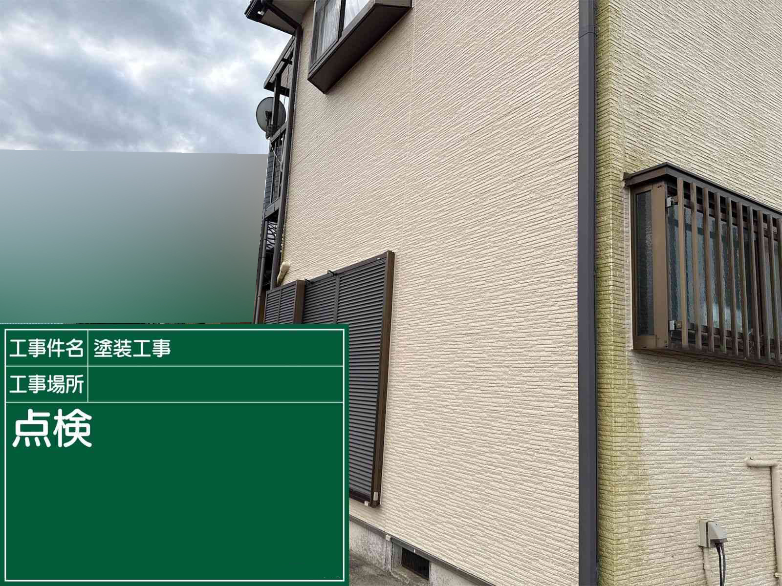 外壁苔カビ取り