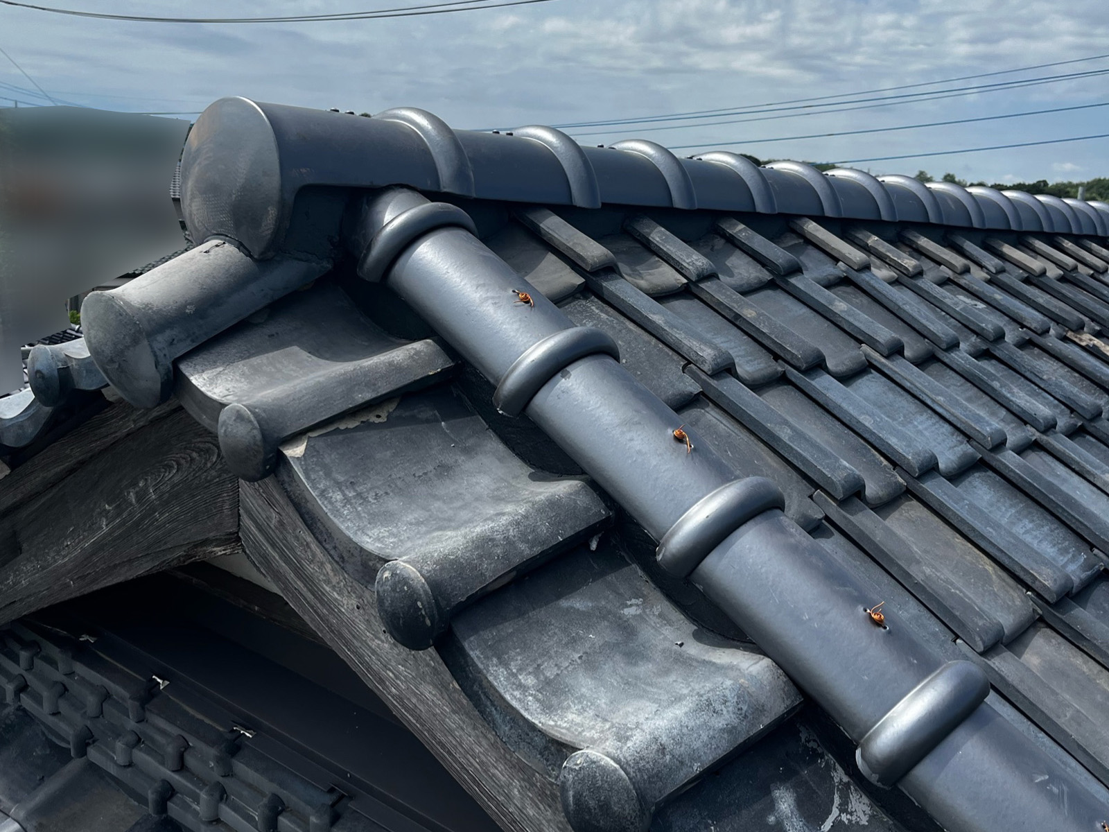 土浦市雨漏りで棟取り直しと防水シート敷き直しが完了