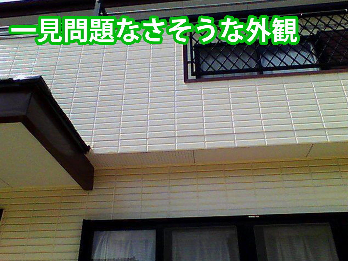 現地調査二回目、大雨の翌日の赤外線調査