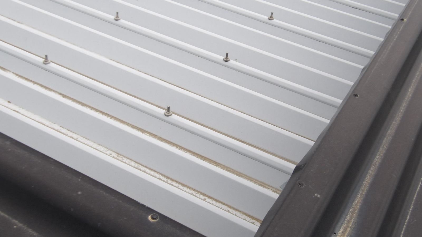 折板屋根　現地調査