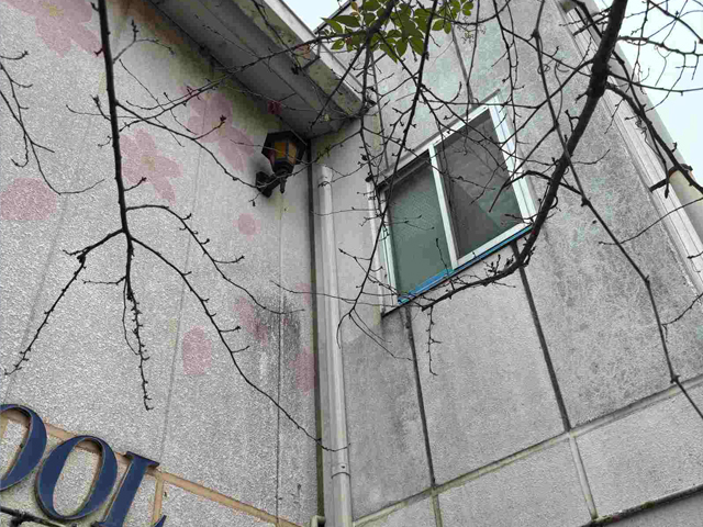 外壁　色褪せ　汚れ