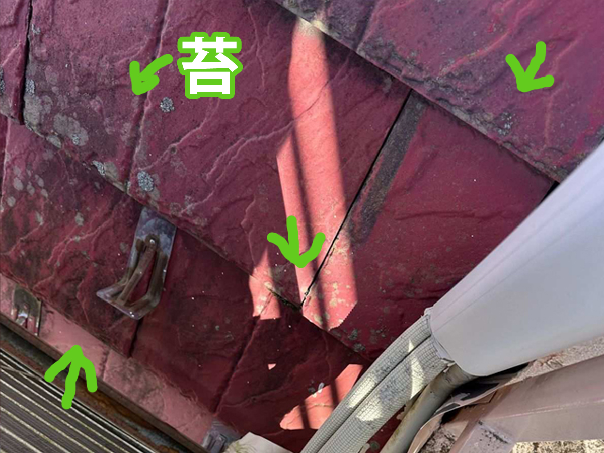 土浦市保育園の屋根塗装、屋根現地調査苔