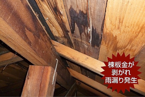 棟板金剥がれの２次被害雨漏り